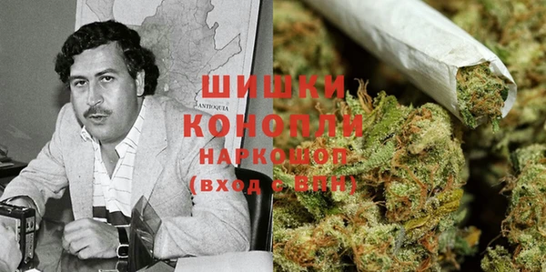spice Алексин