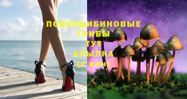 гидра Алексеевка